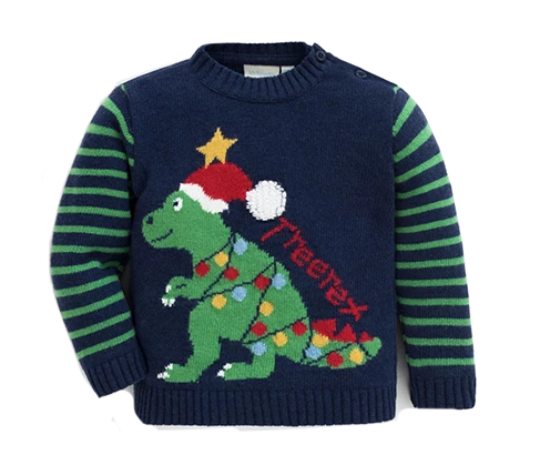 Navy Treerex jumper JoJo